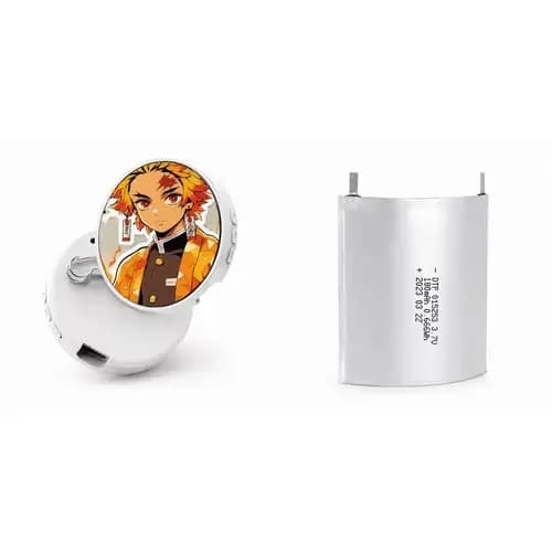 Electronic Badge