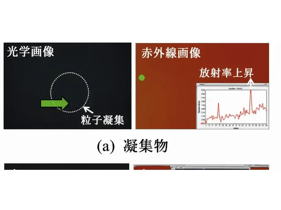 凝集物欠陥(全体表示)