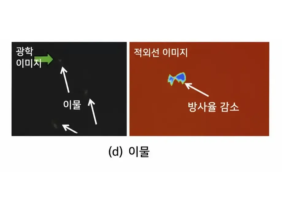 이물 결함(전체 보기)